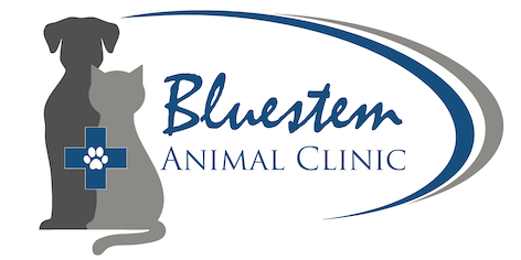 Bluestem Animal Clinic